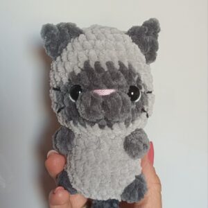 Szürke sziámi cica